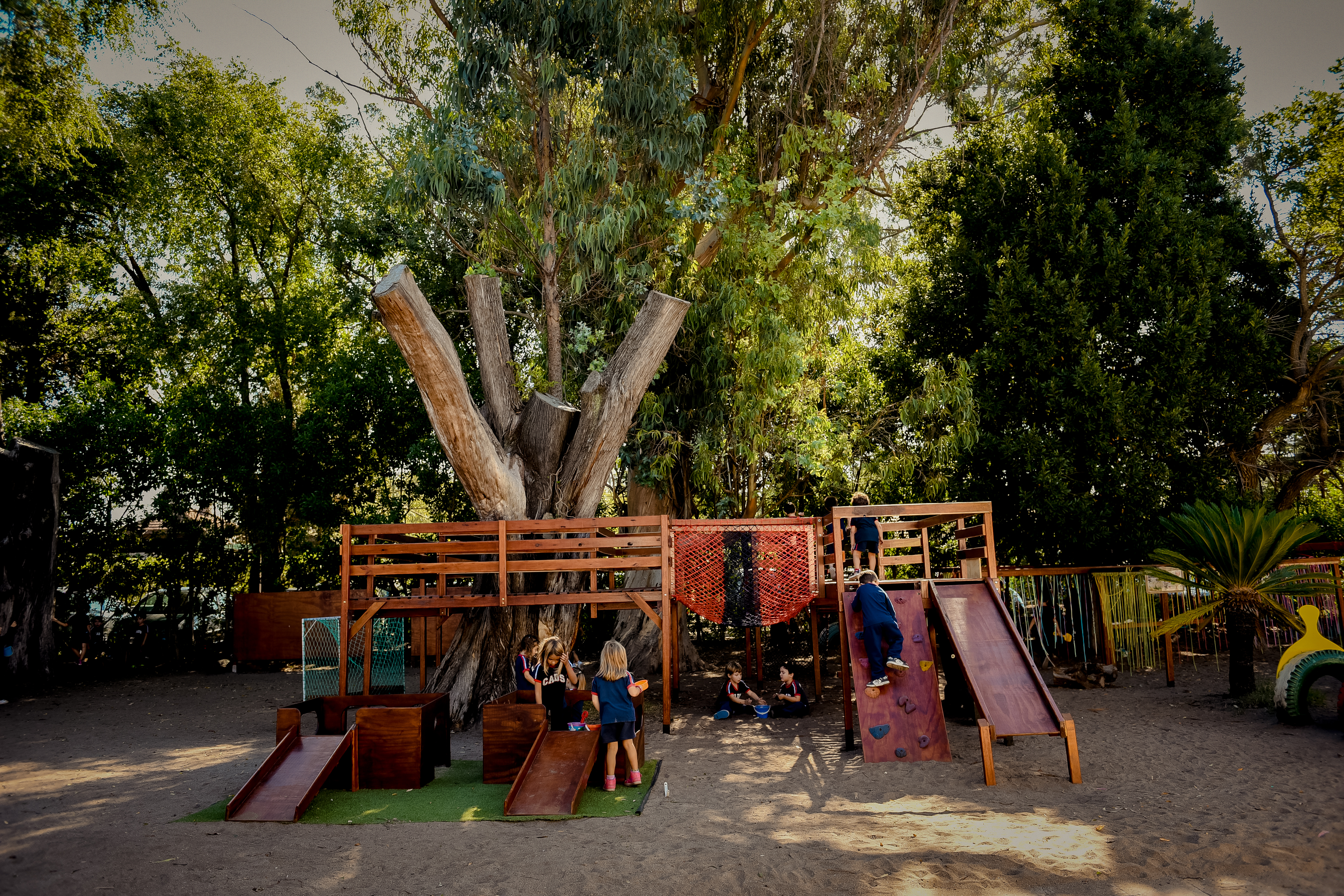 Acto, Educacion Primaria - CADS